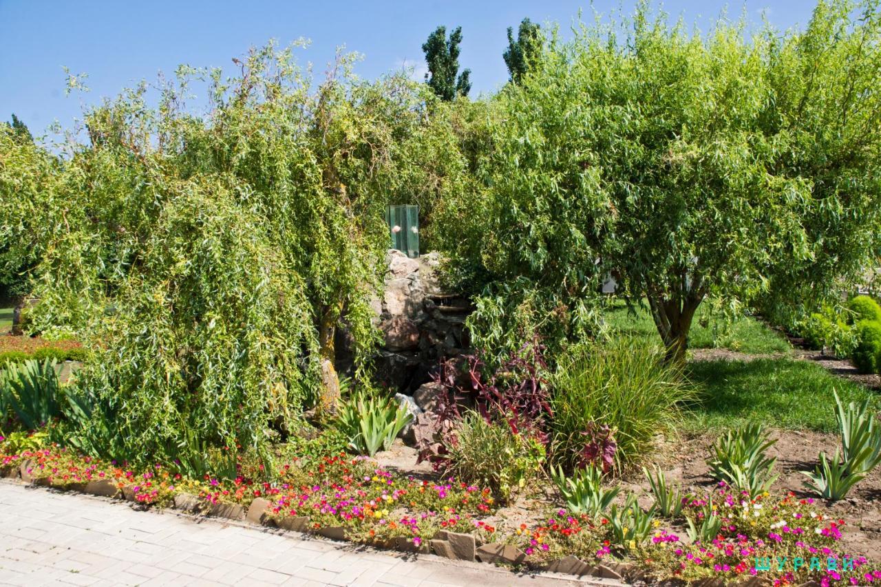 Отель Мелиоратор-Юг Koblevo Exteriör bild